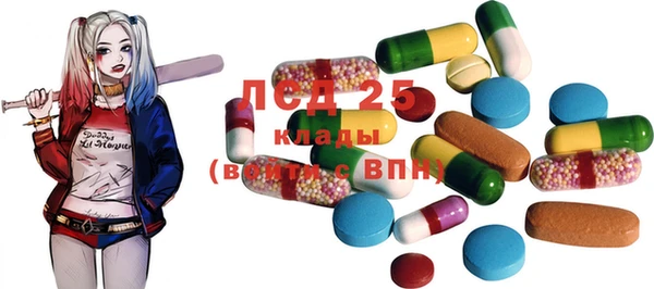 стаф Осташков