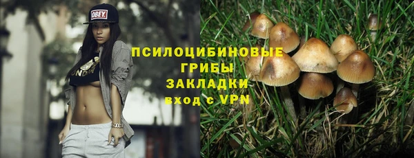 амф Алексеевка