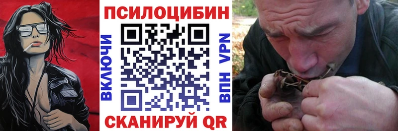 Псилоцибиновые грибы Psilocybe  купить   Алексин 