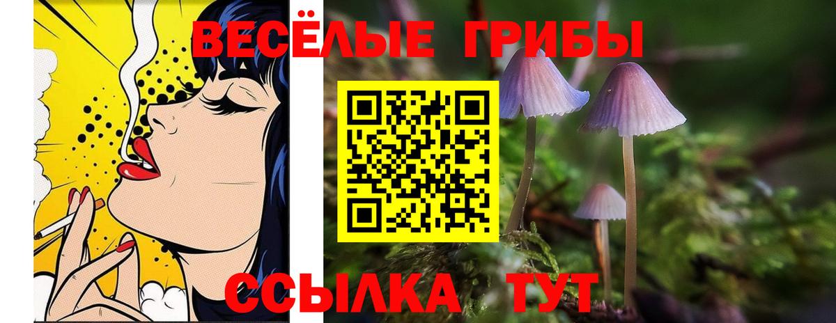 Псилоцибиновые грибы мицелий Алексин